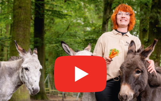 LOTTO fördert den Wildtierpark „Arche Noah“ in Klötze